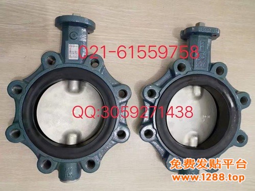 保证原装正品德国EBRO支耳式蝶阀Z014-A..