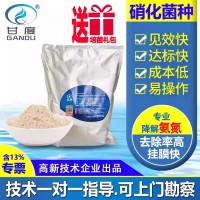 甘度硝化细菌降解氨氮菌种好氧菌剂有效活菌≥200亿