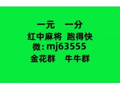 春天哪里有一元一分跑得快群